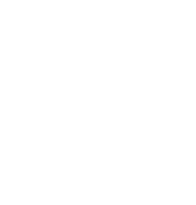 Lewis Wine Imports